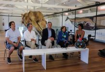 “Projeto Mission Blue” – Açores nomeados como Hope Spot