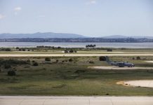 Montijo: Estudo Impacte Ambiental aponta efeitos negativos na avifauna e ruído