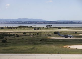 Montijo: Estudo Impacte Ambiental aponta efeitos negativos na avifauna e ruído