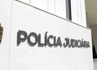 Meia tonelada de cocaína apreendida num veleiro nos Açores