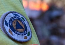 Incêndios. Demitiu-se o adjunto do secretário de Estado da Proteção Civil