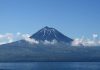 Governo dos Açores apoia setor agrícola da ilha do Pico