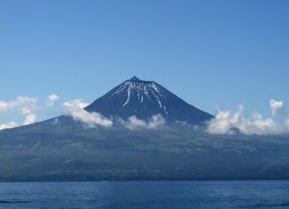 Governo dos Açores apoia setor agrícola da ilha do Pico
