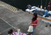 CÂMARA DE LAGOA APELA À NÃO UTILIZAÇÃO DE SACOS DE PLÁSTICO