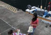 CÂMARA DE LAGOA APELA À NÃO UTILIZAÇÃO DE SACOS DE PLÁSTICO