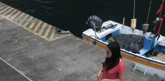CÂMARA DE LAGOA APELA À NÃO UTILIZAÇÃO DE SACOS DE PLÁSTICO