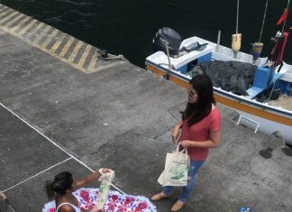 CÂMARA DE LAGOA APELA À NÃO UTILIZAÇÃO DE SACOS DE PLÁSTICO