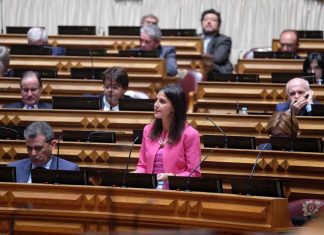 Lara Martinho defende obrigações de serviço público para carga e correio nos Açores