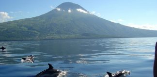 Governo dos Açores inicia segunda-feira visita estatutária à ilha do Pico