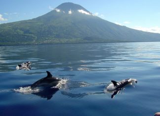 Governo dos Açores inicia segunda-feira visita estatutária à ilha do Pico