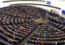 Investigadora Isabel Estrada entra no Parlamento Europeu após morte de André Bradford