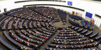 Investigadora Isabel Estrada entra no Parlamento Europeu após morte de André Bradford