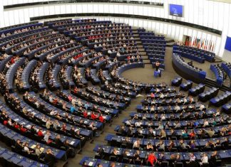 Investigadora Isabel Estrada entra no Parlamento Europeu após morte de André Bradford