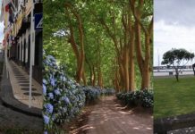 Candidaturas abertas ao projeto “Creatour Azores” até 31 de julho