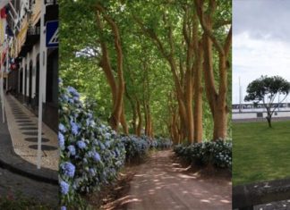 Candidaturas abertas ao projeto “Creatour Azores” até 31 de julho