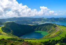 Governo dos Açores vai concessionar terreno florestal em São Miguel para instalar parque de arvorismo