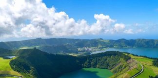 Governo dos Açores vai concessionar terreno florestal em São Miguel para instalar parque de arvorismo