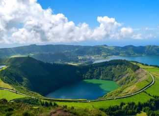 Governo dos Açores vai concessionar terreno florestal em São Miguel para instalar parque de arvorismo