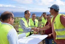 Secretaria Regional da Agricultura e Florestas – Produção de carne de bovino continua a crescer nos Açores