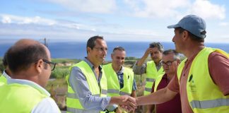 Secretaria Regional da Agricultura e Florestas – Produção de carne de bovino continua a crescer nos Açores