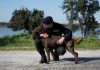 Dia do Cão: “patrulha pata” da Marinha já realizou mais de cem ações