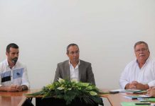 Programa Jovem Agricultor visa garantir a sustentabilidade futura da agricultura nos Açores, afirma João Ponte