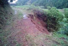 Serviços Florestais estão a trabalhar para repor a normalidade nos caminhos agrícolas afetados pela chuva em Santa Maria