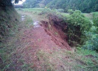 Serviços Florestais estão a trabalhar para repor a normalidade nos caminhos agrícolas afetados pela chuva em Santa Maria