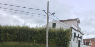 Dia da Freguesia da Feteira – Leónia Melo destaca a importância das parcerias no desenvolvimento da freguesia