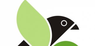Candidaturas à Marca Priolo abertas até 30 de setembro