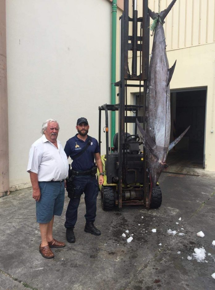 Apreensão de Peixe interdito em Vila do Porto24AGO19 (4)