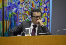 PSD questiona governo sobre cetáceo ao abandono na costa há mais de 10 dias