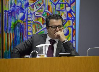 PSD questiona governo sobre cetáceo ao abandono na costa há mais de 10 dias
