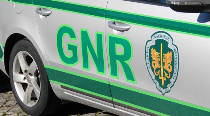 GNR identifica oito por aluguer ilegal de carros
