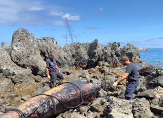 AUTORIDADE MARÍTIMA REMOVE CETÁCEO ARROJADO NA ILHA DAS FLORES