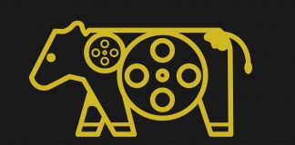IV edição do C(H)ORTA – AJIFA abre inscrições para o maior festival de curtas do Faial