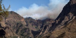 Espanha: Cerca de oito mil pessoas retiradas devido a incêndio na Grande Canária
