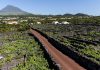 Ilha do Pico – Paisagem da Cultura da Vinha vence o prémio European Garden Award