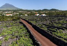 Ilha do Pico – Paisagem da Cultura da Vinha vence o prémio European Garden Award