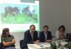 Interligação da produção, transformação e comercialização é fundamental para sustentabilidade da agricultura, afirma Diretor Regional