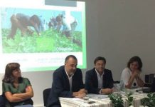 Interligação da produção, transformação e comercialização é fundamental para sustentabilidade da agricultura, afirma Diretor Regional