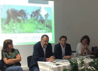 Interligação da produção, transformação e comercialização é fundamental para sustentabilidade da agricultura, afirma Diretor Regional