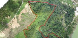 Governo dos Açores lança concurso público para instalação de parque de arvorismo nas Furnas