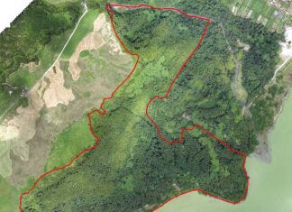 Governo dos Açores lança concurso público para instalação de parque de arvorismo nas Furnas