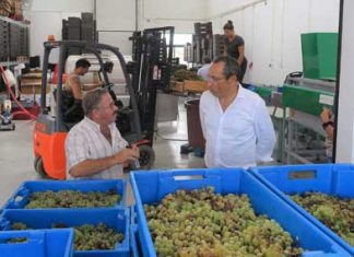 Governo Regional está a trabalhar para melhorar os mecanismos que garantem a autenticidade dos vinhos dos Açores