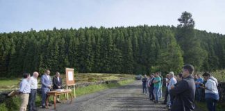 Governo dos Açores cumpre compromisso assumido com os agricultores e o Parlamento quanto ao caminho florestal do Pico Gaspar, na Terceira, afirma João Ponte