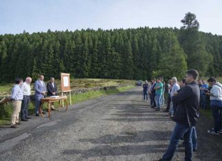 Governo dos Açores cumpre compromisso assumido com os agricultores e o Parlamento quanto ao caminho florestal do Pico Gaspar, na Terceira, afirma João Ponte