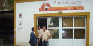 Incentivos do Governo Regional incrementam internacionalização da economia açoriana