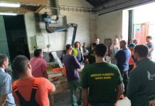 Governo dos Açores aposta na formação profissional na área florestal, afirma Anabela Isidoro