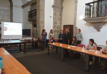 Formação aos técnicos dos Núcleos de Apoio a Crianças e Jovens em Risco aumenta especialização dos profissionais, afirma Teresa Luciano